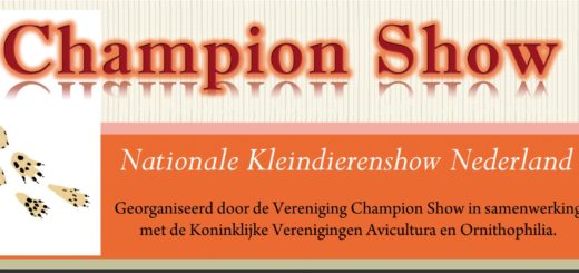 Championshow Niederlande