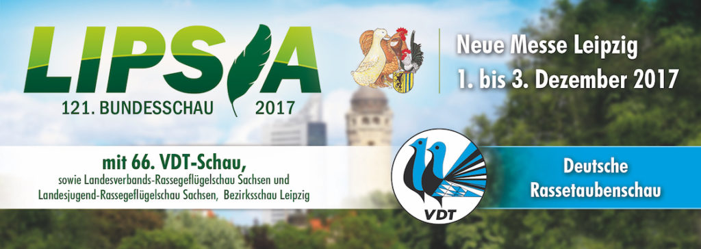 Logo VDT-2017-Lipsia